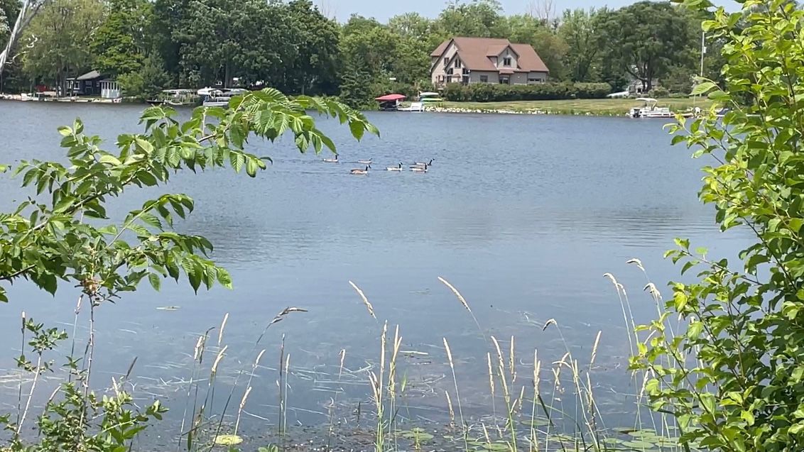 Neighborhood at odds over Wisconsin goose roundup